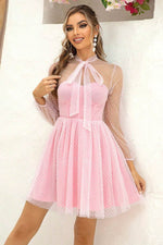 Tie Neck Open Back Mesh Dress - Amexza