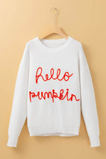 HELLO PUMPKIN Round Neck Long Sleeve Sweater for a perfect OOTD – dress to impress outfits from Amexza