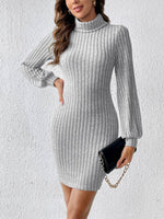 Turtleneck Long Sleeve Mini Dress - Amexza