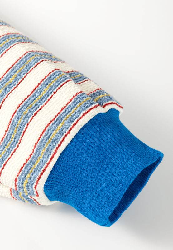 Striped Johnny Collar Long Sleeve Sweatshirt for a perfect OOTD – dress to impress outfits from Amexza