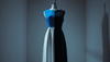 Discover the Stunning Blue and Black Dress that's Also White and Gold - Amexza