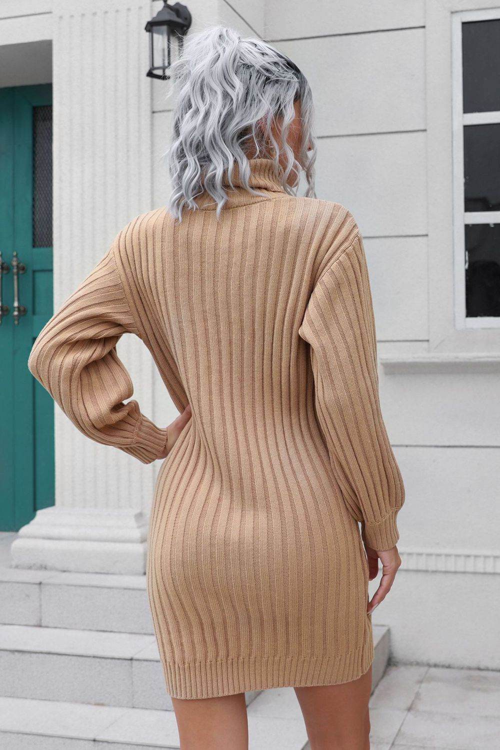 Ribbed Turtle Neck Long Sleeve Mini Sweater Dress - Amexza