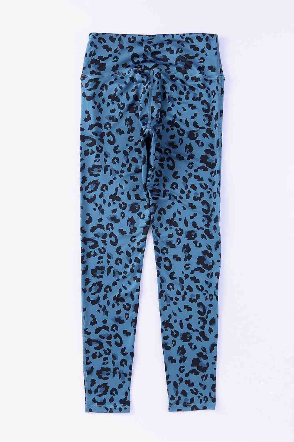 Leopard Print Wide Waistband Leggings Sky Blue for a perfect OOTD – dress to impress outfits from Amexza