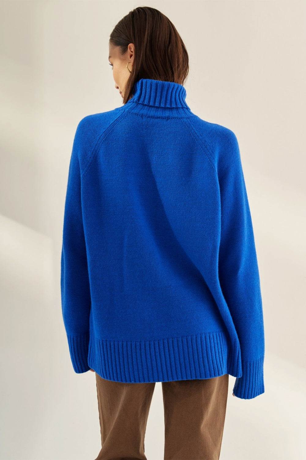 Turtle Neck Raglan Sleeve Sweater - Amexza