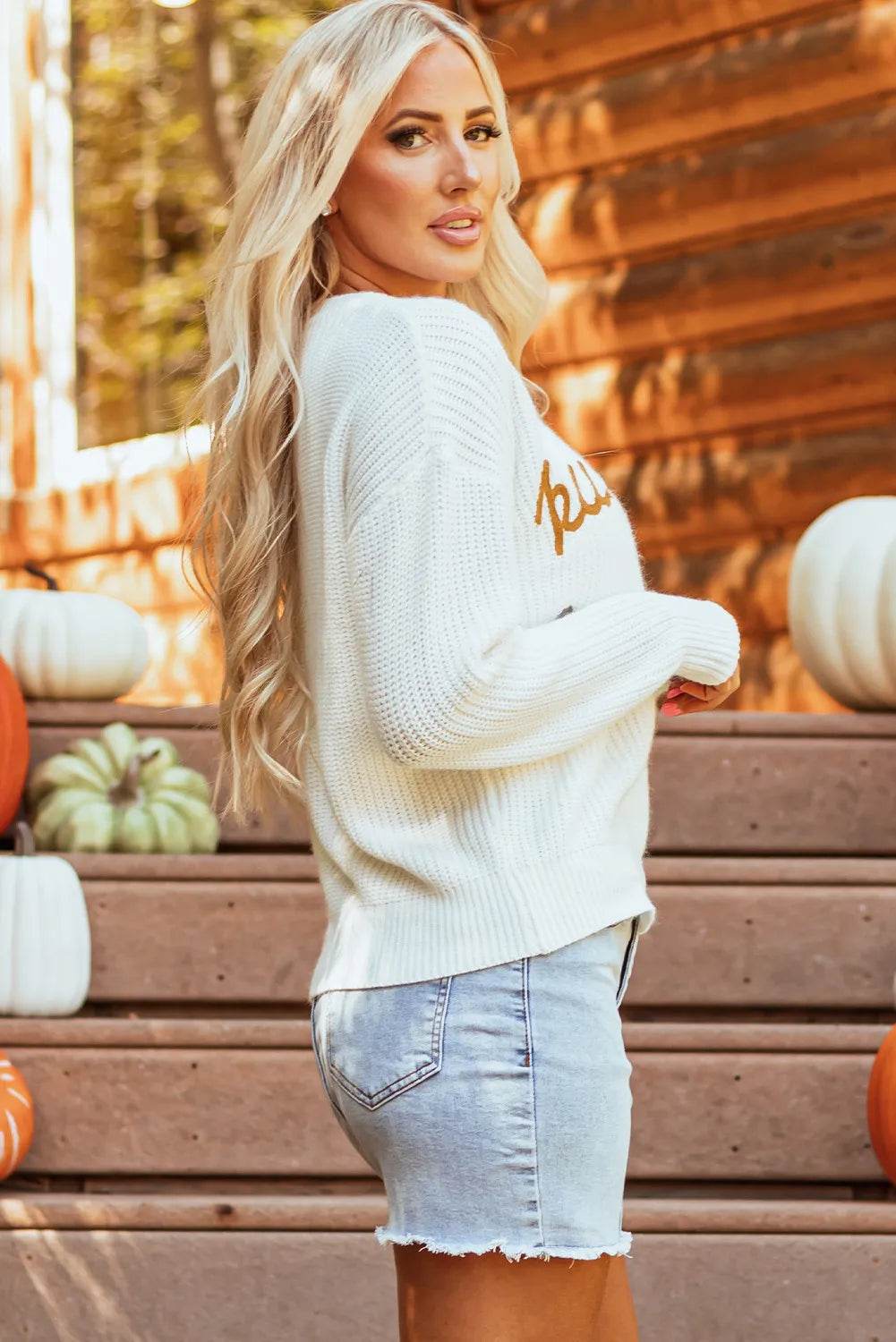 Pumpkin Embroidery Long Sleeve Sweater for a perfect OOTD – dress to impress outfits from Amexza