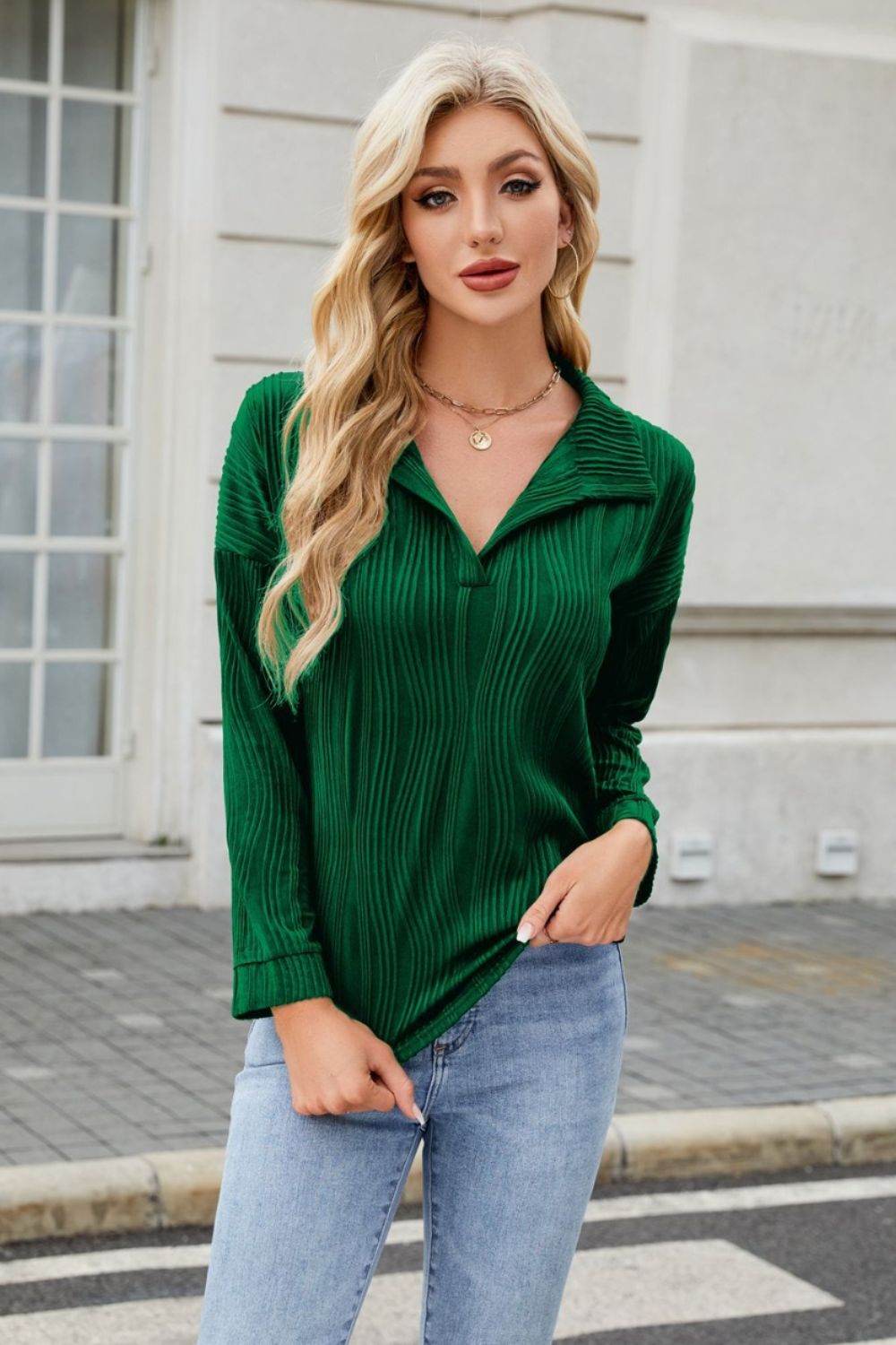 Texture Collared Neck Long Sleeve Blouse for a perfect OOTD – dress to impress outfits from Amexza