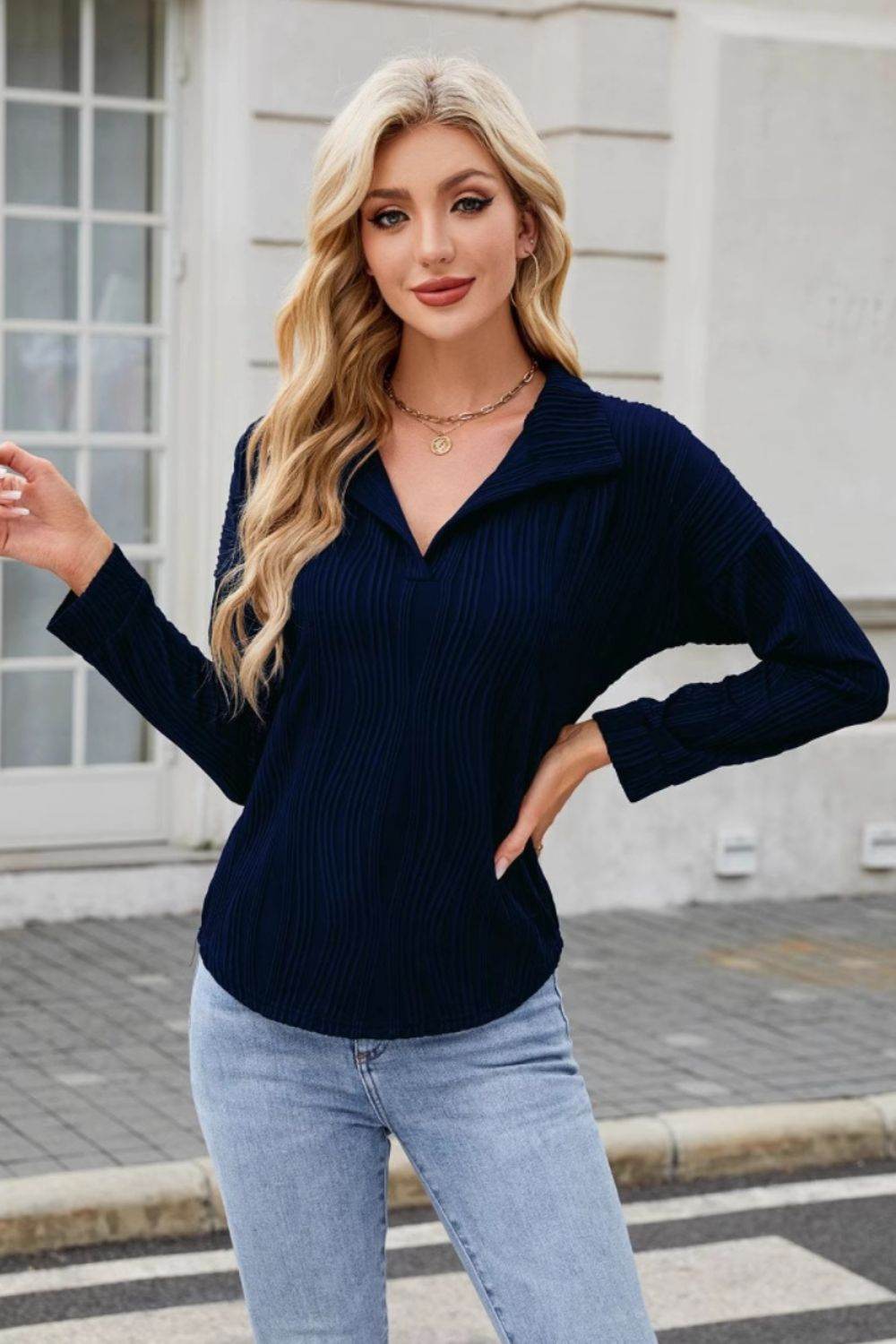 Texture Collared Neck Long Sleeve Blouse for a perfect OOTD – dress to impress outfits from Amexza