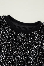 Sequin Round Neck Long Sleeve Blouse - Amexza