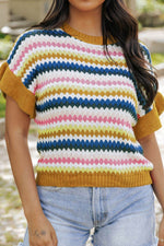 Contrast Round Neck Short Sleeve Sweater for a perfect OOTD – dress to impress outfits from Amexza