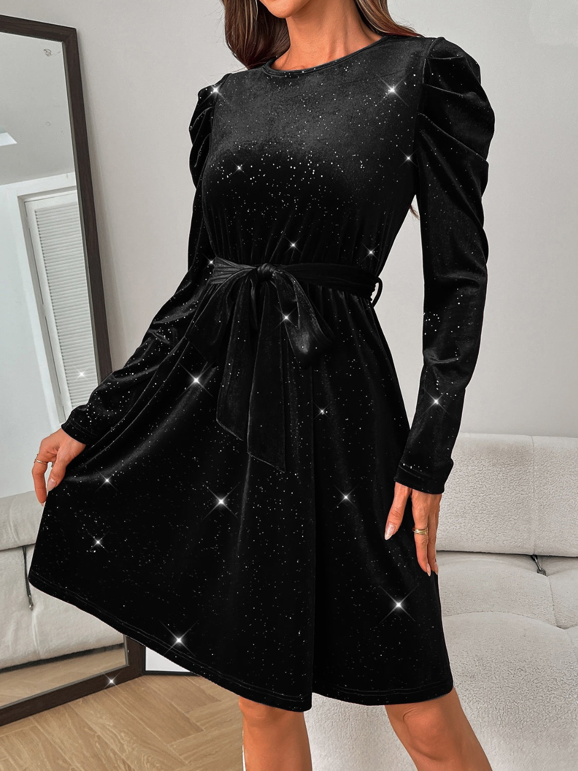 Glitter Round Neck Puff Sleeve Dress