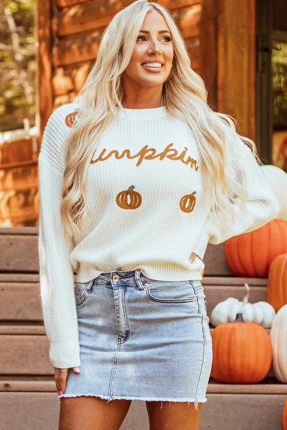 Pumpkin Embroidery Long Sleeve Sweater for a perfect OOTD – dress to impress outfits from Amexza