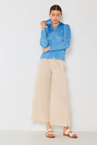 Marina West Swim Pleated Wide-Leg Pants with Side Pleat Detail for a perfect OOTD – dress to impress outfits from Amexza