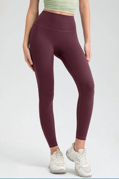 Wide Waistband High Waist Sport Leggings - Amexza